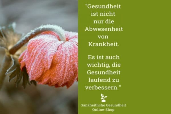 Rabatt Ganzheitliche Gesundheit Shop